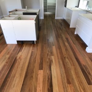 Spotted Gum Select Flooring 130x19mm