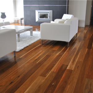 Spotted Gum Select Flooring 80x19mm